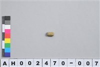 藏品(玉質管珠)的圖片